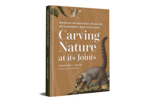 Carving-Nature-at-its-Joints-Front-Cover-Mockup