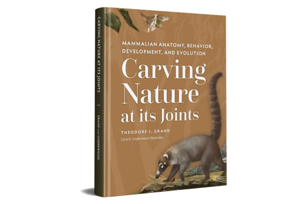 Carving-Nature-at-its-Joints-Front-Cover-Mockup