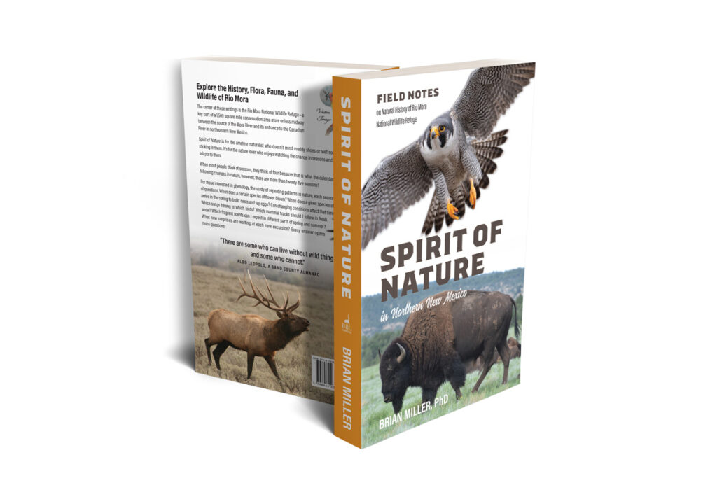 books standing back to back